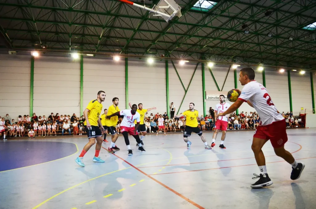 Tribunes lors match de Nationale 3 de handball Gymnase Lecuirot